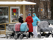 Власти Подмосковья расширят возможности регионального маткапитала