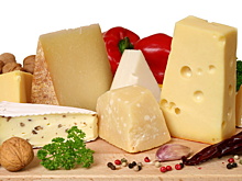 Названы любимые сыры россиян