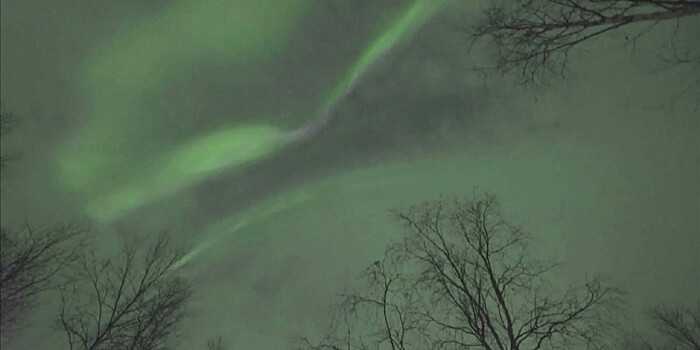 Буря на Солнце: северное сияние осветило небо над ЯНАО и Финляндией