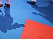 12 россиян выступят на чемпионате мира по карате в Будапеште
