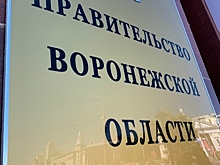 Замруководителя правительства Воронежской области уволили в связи с утратой доверия