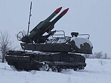 Названы сроки испытаний комплекса "Гибка-С" для "Тигра"