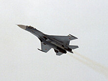 Родные погибшего в Подмосковье пилота Су-27 получат 5,8 млн рублей