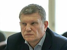Депутат считает, что западные производители не придут в РФ из-за пошлин США
