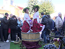Виноделы Ставрополья празднуют богатый урожай