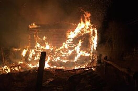 Смотреть страшно: в сеть попали кадры пожара на конюшне во Владивостоке