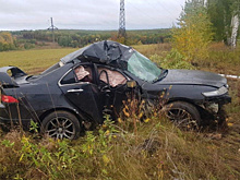Пассажир погиб: в Кинельском районе "Хонда" влетела в дерево и перевернулась