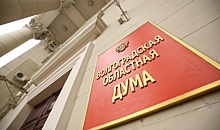 В Волгоградской облдуме назначили нового председателя комитета