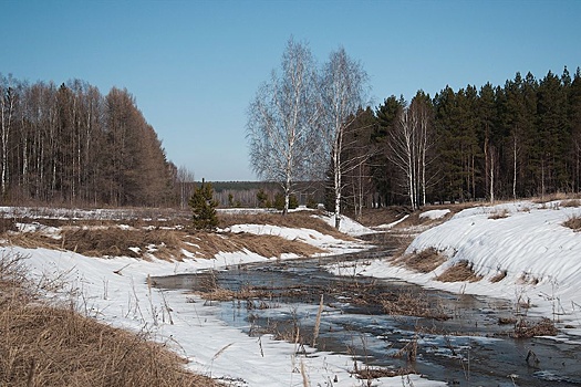 В лидерах: Костромская область заняла высокие позиции в Национальном экологическом рейтинге