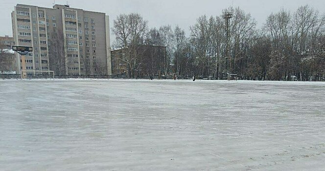 Олимпийский чемпион Владимир Мышкин приедет в Киров