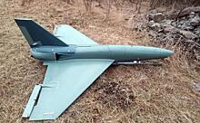 Banshee Jet-80: Что за британский чудо-дрон приземлили в ДНР