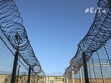Mash: музыкант «Технологии» потребовал 25 млн рублей с гендира издательства