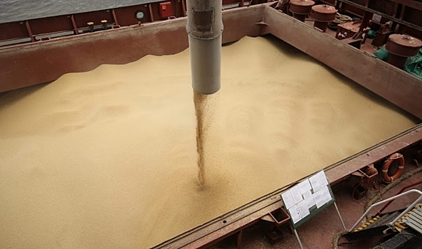 Из Волгоградской области экспортировали 741 тысячу тонн продукции АПК