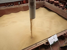 Из Волгоградской области экспортировали 741 тысячу тонн продукции АПК