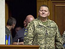 «В киевских кафе везде висят портреты Залужного»