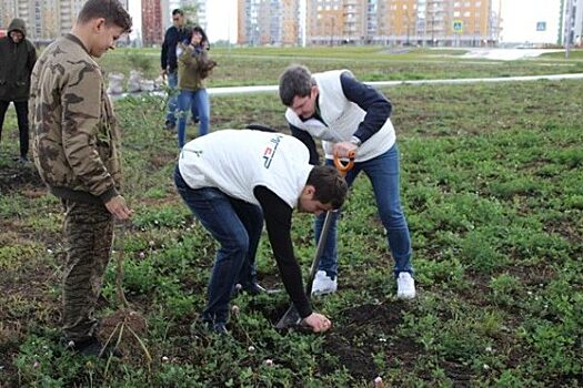В Саранске высадили еловую аллею в честь 75-летия Великой Победы
