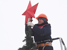 Новогодние ели установят в поселении Первомайское