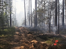 Особый режим введен в трех районах Камчатки из-за лесных пожаров