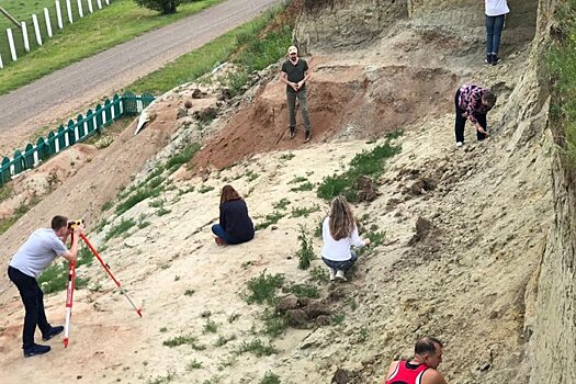 В Кузбассе начали сезон палеонтологических раскопок