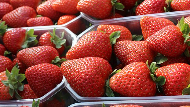 Польша задумалась о запрета импорта украинской малины и клубники