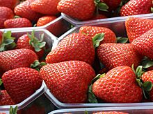 Польша задумалась о запрета импорта украинской малины и клубники