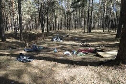 В лесу Тукаевского района активисты обнаружили свалку из опасных отходов