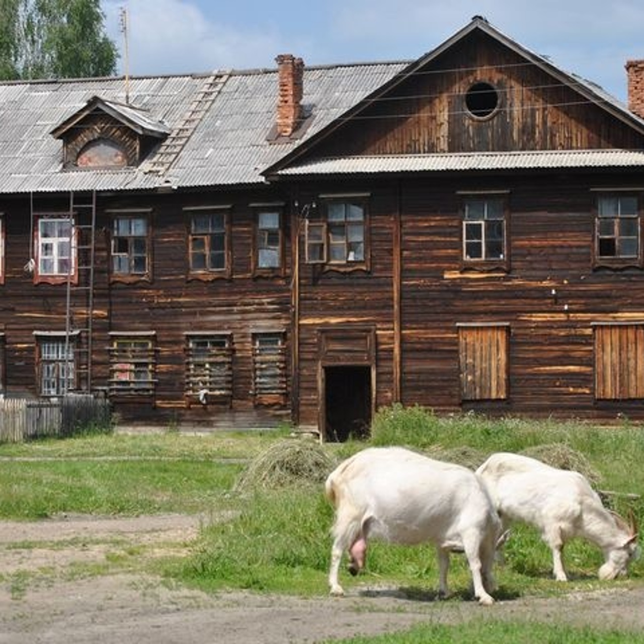 Свердловский поселок убивают засуха и разруха - Рамблер/новости