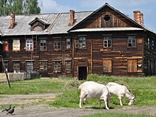 Свердловский поселок убивают засуха и разруха