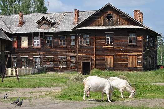 Свердловский поселок убивают засуха и разруха