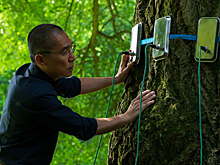 На Роттердамском кинофестивале показали польские слезы в пробирках