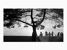 Почему нужно посмотреть фильм «Лето»