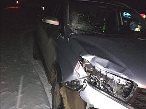 В Башкирии автоледи сбила насмерть молодую девушку