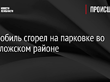 Автомобиль сгорел на парковке во Всеволожском районе