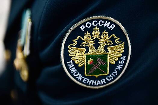 Иностранку задержали в российском аэропорту из-за волос