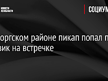 В Выборгском районе пикап попал под грузовик на встречке