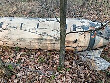 Минобороны показало кадры обломков ATACMS, запущенных по Воронежу