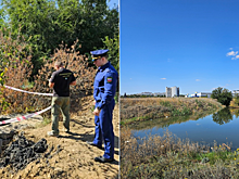 В Волгограде устанавливают причину разлива стоков в дендрарии