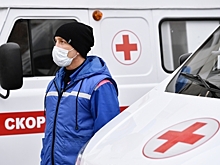 В Волгоградской области водитель легковушки погиб в ДТП с КамАЗом