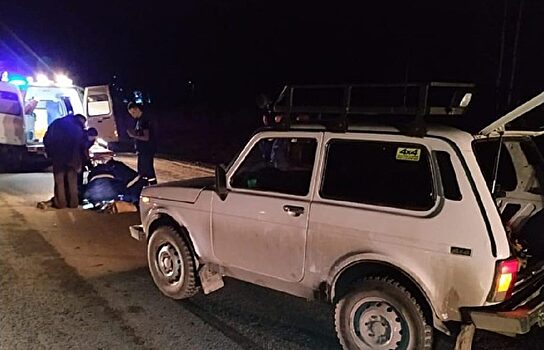 Под Полевским «Нива» сбила идущего по дороге 82-летнего пенсионера