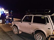 Под Полевским «Нива» сбила идущего по дороге 82-летнего пенсионера