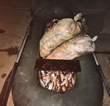 В Дагестане изъяли более 200 кг незаконно добытой рыбы