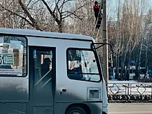В Самаре изменили маршрут автобусов № 56 и 61 из-за дорожных работ на Димитрова