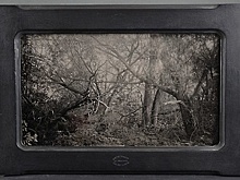Для жителей Пущина 29 сентября проведут мастер‑класс по пикториальной фотографии