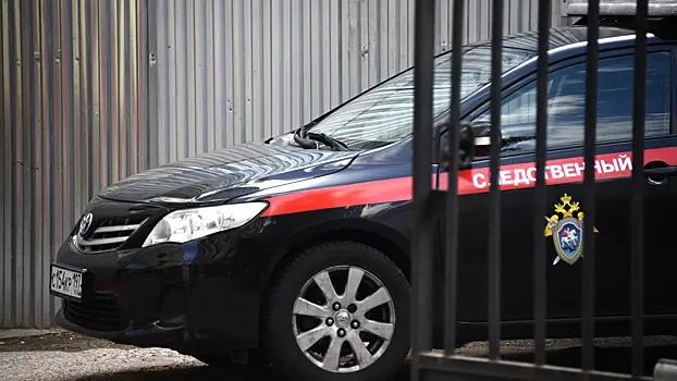 СК возбудил дело после нападения мужчины на полицейских в Москве
