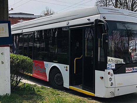 Крымчане пишут диктант в троллейбусе и аэропорту