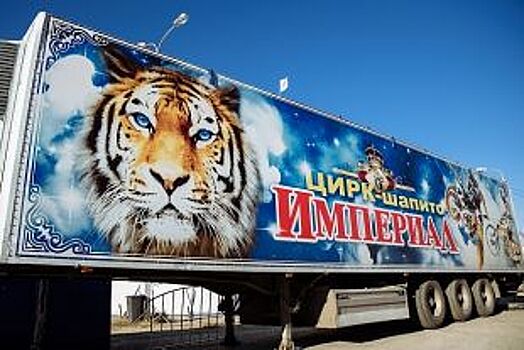 Одиночный пикет против выступлений животных в цирке прошёл в Ростове