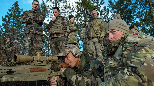 Дания обратилась к НАТО с просьбой