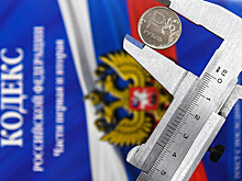 ФНС: при просрочке уплаты налогов на каждые 100 рублей начислят 5,5 копейки