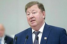 Кашин призвал вернуть в бюджет финансирование капексов