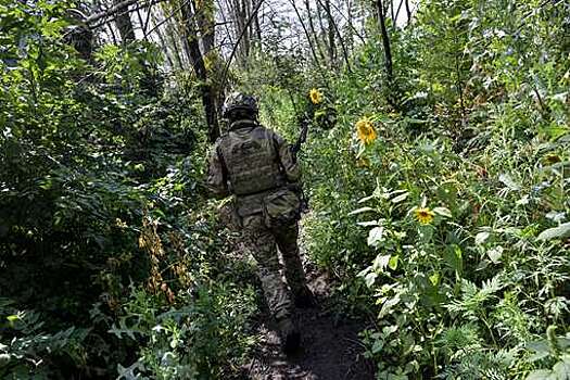 Бибилов заявил, что военных ВСУ не хватит для прорыва обороны ВС РФ в  Клещеевке